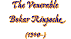 The Ven. Bokar Rinpoche (1940-)